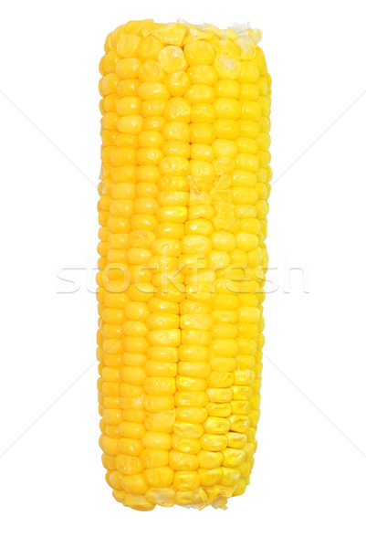Kukurydza odizolowany biały żywności żółty Zdjęcia stock © dehooks