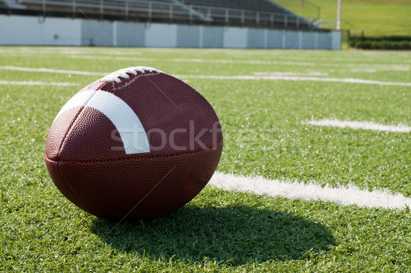 Amerykański boisko do piłki nożnej trawy sportu piłka nożna Zdjęcia stock © dehooks