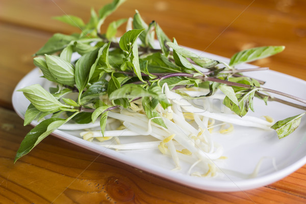 bean sprouts on plate , hors d'oeuvres Stock photo © dekzer007