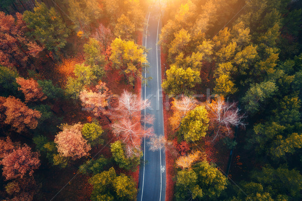Stock photo: Aerial view of road in beautiful autumn forest at sunset