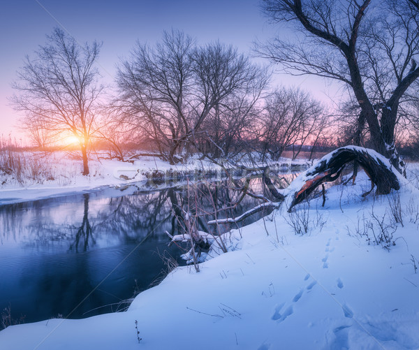 Winter landscape with trees reflected in river at sunset Stock photo © denbelitsky
