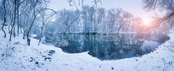 Peisaj copaci iarnă pădure râu apus Imagine de stoc © denbelitsky