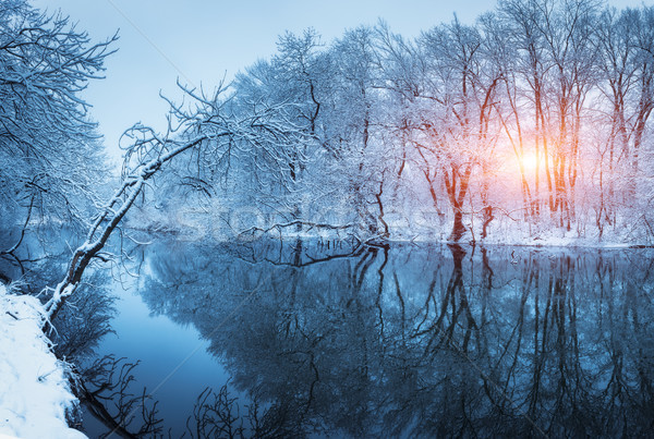Stock photo: Winter forest on the river at sunset. Colorful landscape with snowy trees