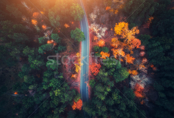 Stock photo: Aerial view of road in beautiful autumn forest at sunset