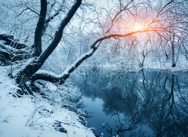 Stock fotó: Tél · erdő · folyó · naplemente · színes · tájkép