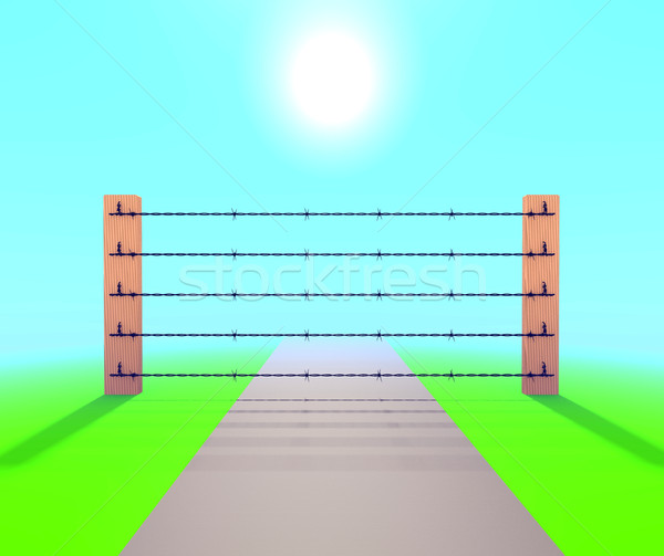 Barb Wire Fence Stock photo © dengess