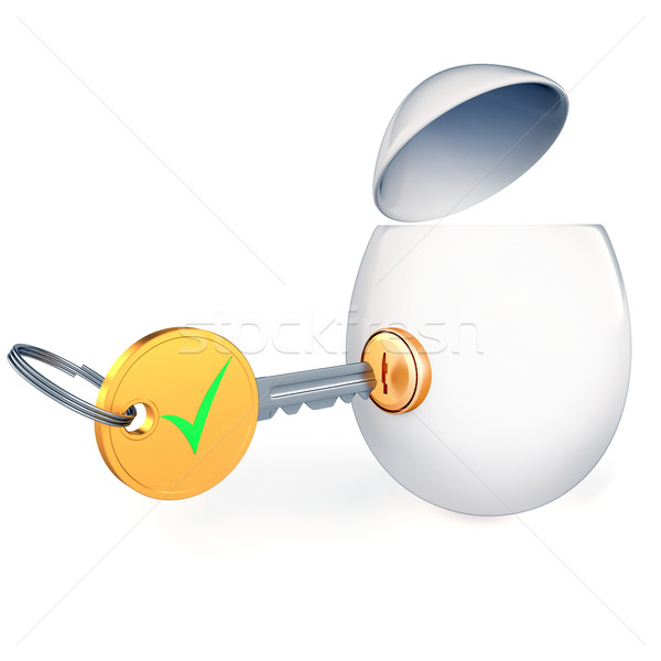 Egg and key, accept sign Stock photo © dengess