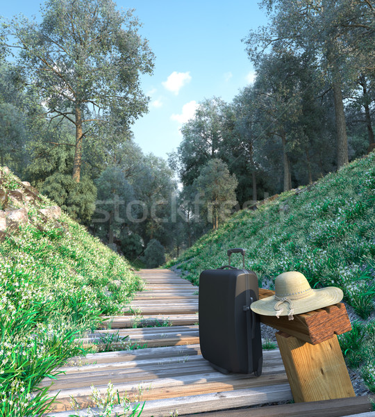 Reizen zak hoed toerisme vakantie Stockfoto © denisgo