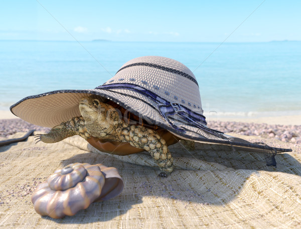 relaxing vacation concept background with seashell, turtle and beach accessories Stock photo © denisgo