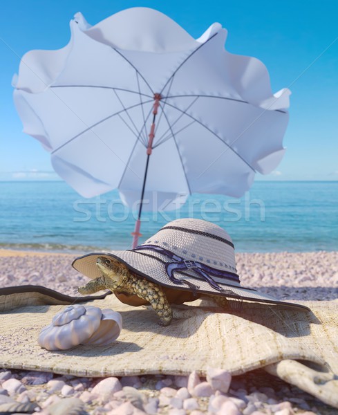 relaxing vacation concept background with seashell,umbrella, turtle and beach accessories Stock photo © denisgo