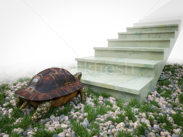 moving turtle wants to climb on the stairs concept background Stock photo © denisgo