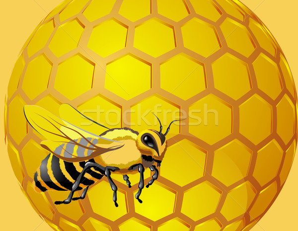 Honeycomb With Flowing Honey Stock Illustration - Download Image Now -  Drop, Honeycomb - Animal Creation, Hexagon - iStock