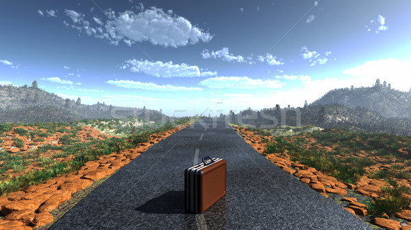 suitcase on a deserted road as adventure concept background Stock photo © denisgo