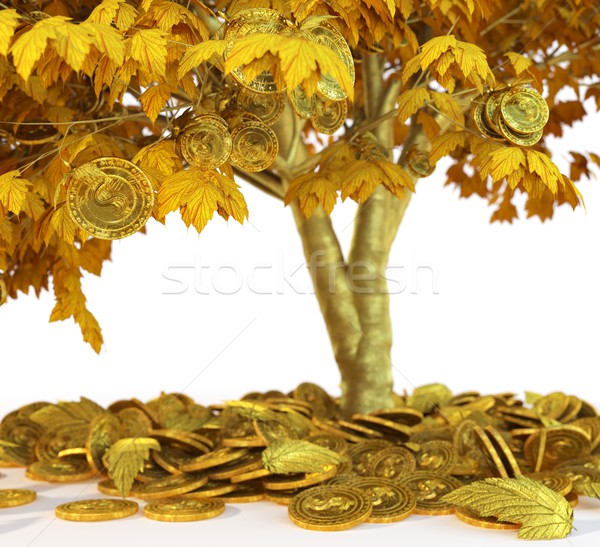Денежное дерево монетами белый 3d иллюстрации Сток-фото © denisgo