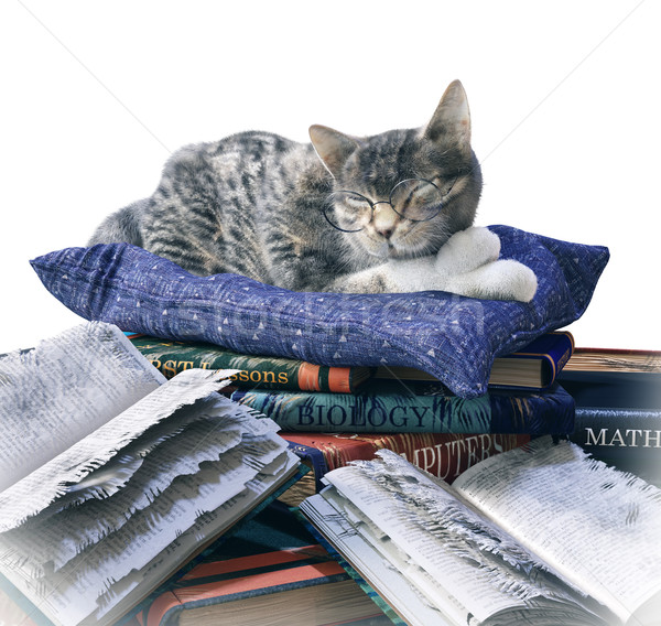 scientist cat and scratched school books funny isolate composition Stock photo © denisgo