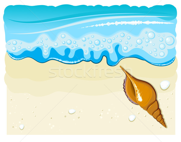 Mar concha praia onda areia cavalo Foto stock © denisgo