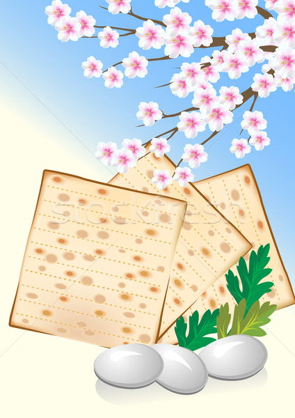 Jewish celebrate pesach passover with eggs, matzo and flowers Stock photo © denisgo
