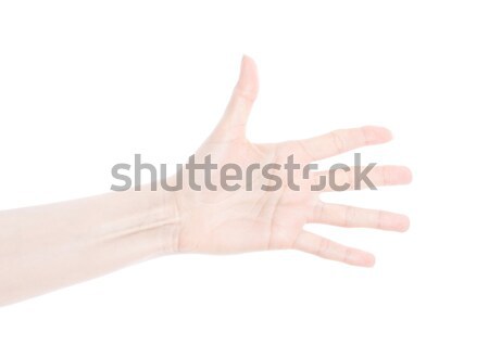 Beautiful female woman hand rock n roll sign  Stock photo © DenisMArt