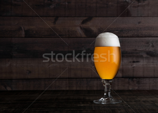 Szkła złoty piwo jasne pełne ale piwa piana Zdjęcia stock © DenisMArt