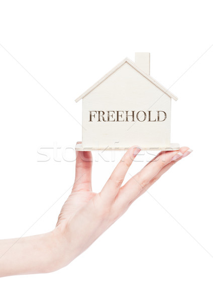 Female hand holding wooden house model with text Stock photo © DenisMArt