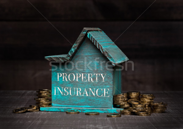 Fából készült ház modell érmék kéz szöveg Stock fotó © DenisMArt