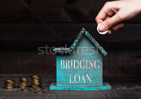Fából készült ház modell érmék kéz tart Stock fotó © DenisMArt