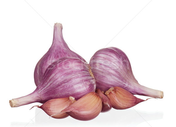Fresh garlic Stock photo © DenisNata