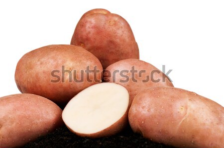 Kartoffeln Heap groß weiß Natur Stock foto © DenisNata