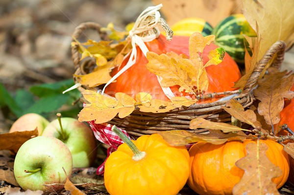 Autunno vegetali primo piano foto legno Foto d'archivio © Dermot68