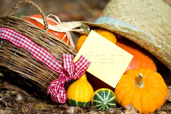 Autunno biglietto d'auguri foto primo piano vegetali Foto d'archivio © Dermot68