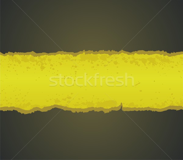 Vector ripped paper Stock photo © Designer_things