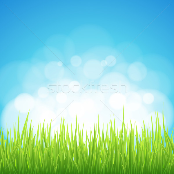 Primăvară abstract fundal iarba verde bokeh proiect Imagine de stoc © Designer_things