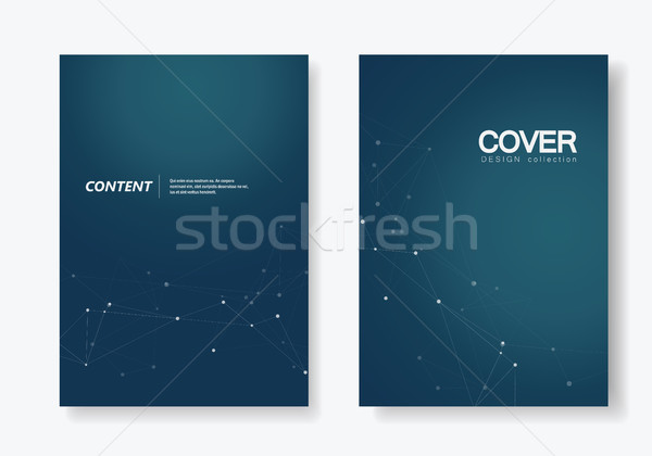 Set vector brochures template with connect design. Abstract technology pattern, compound dots and li Stock photo © designleo