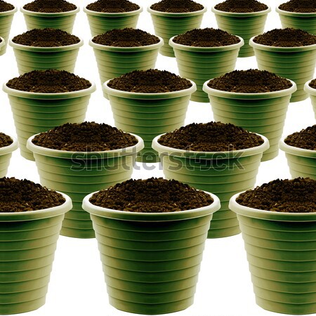 plastic garden pot  Stock photo © designsstock