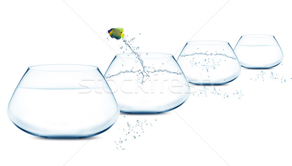 Anglefish jumping to Big bowl Stock photo © designsstock