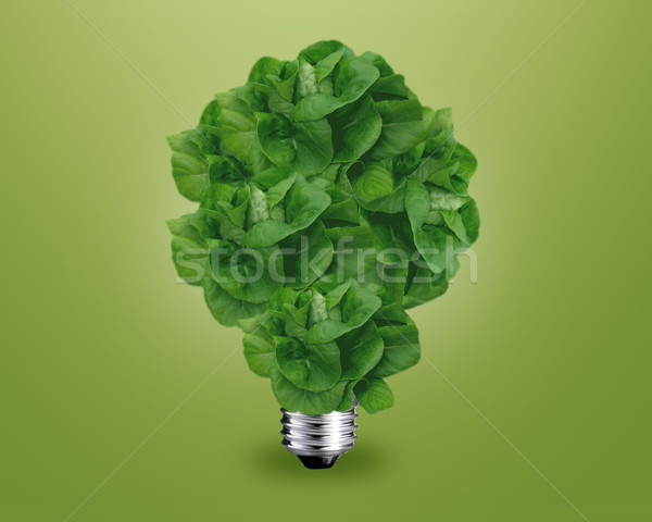 Green light bulb idea Stock photo © designsstock