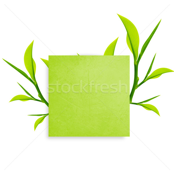 Notepaper  Stock photo © designsstock