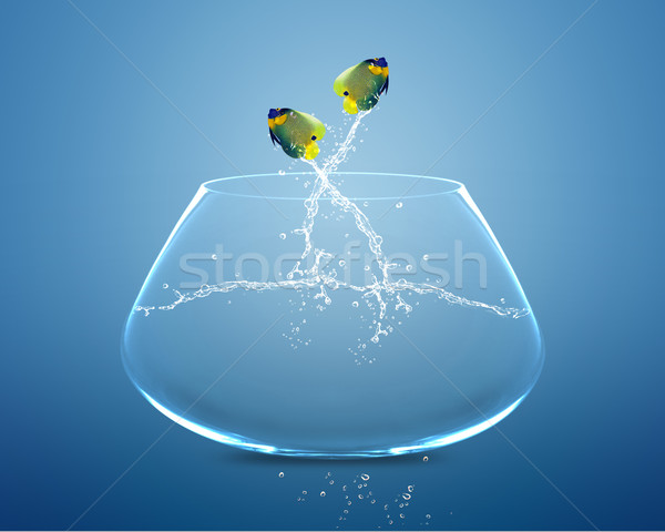 Saltar acrobático mostrar negocios agua vidrio Foto stock © designsstock