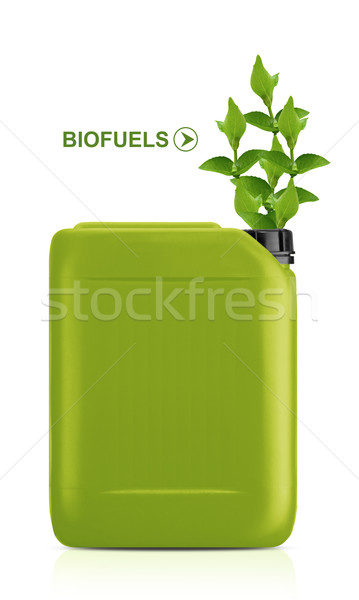 Bio carburante gallone verde ambiente design Foto d'archivio © designsstock