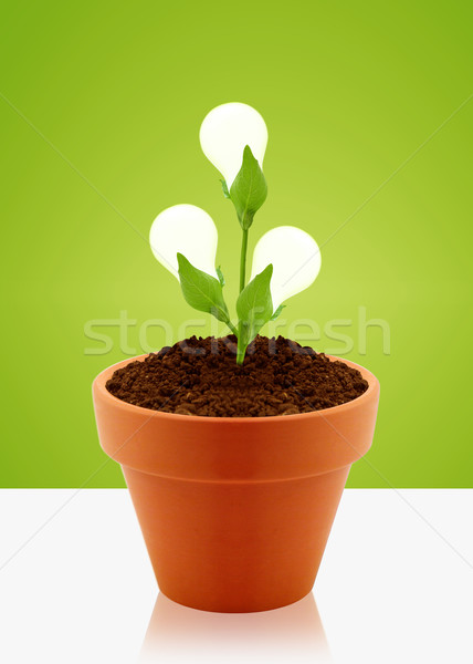 Green energy Stock photo © designsstock