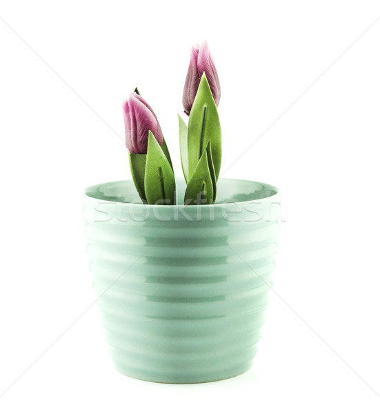 Poterie pot à fleurs blanche fleur fond plaque Photo stock © designsstock