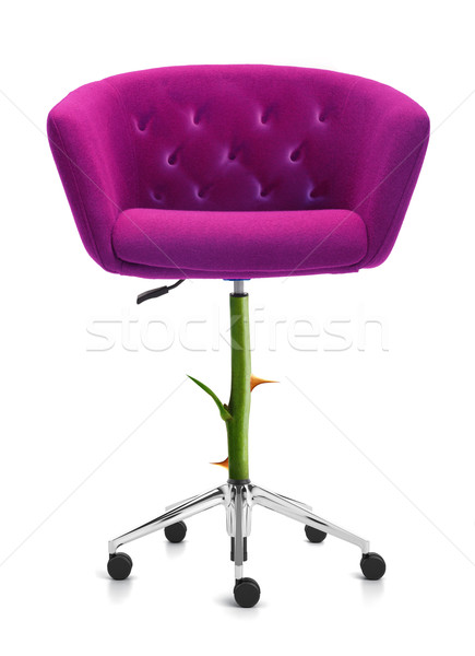 Vermelho cadeira rosa haste espinho Foto stock © designsstock