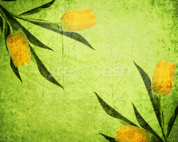 Abstract Background Stock photo © designsstock