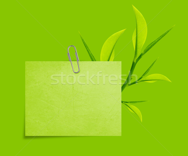 Notepaper  Stock photo © designsstock
