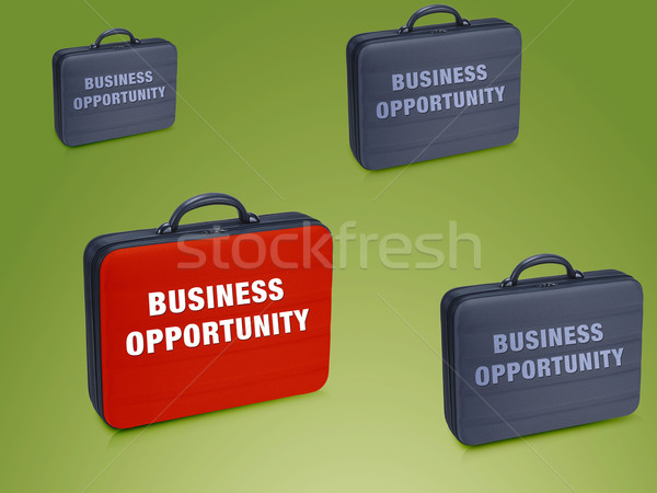 Business  case  Stock photo © designsstock
