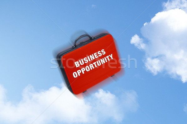 Business case  Stock photo © designsstock