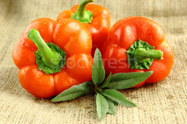Red sweet pepper  Stock photo © designsstock