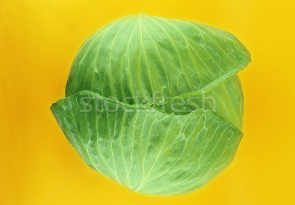Stock photo: fresh green cabbage
