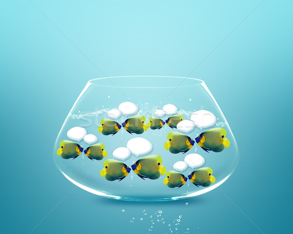 angelfish faces as social network with speech bubbles. Stock photo © designsstock