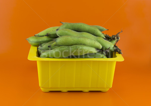 broad bean pods Stock photo © designsstock